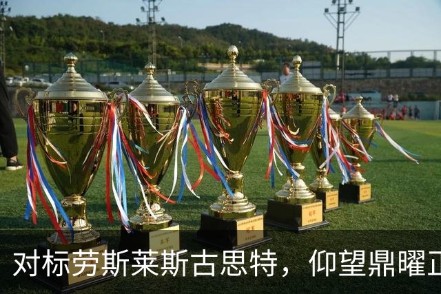 对标劳斯莱斯古思特，仰望鼎曜正式公布